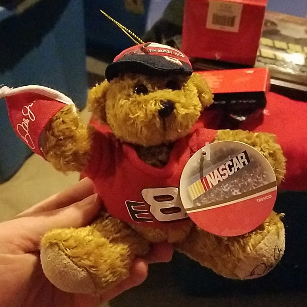 Dale Earnhardt jr ornament bear